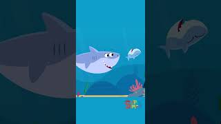 Happy Finny The Shark Week babyshark finnythesharkweek kidssongs [upl. by Aihcela]