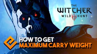 The Witcher 3  Zerrikanian Saddlebags Location  Most Carry Weight 100 [upl. by Roselyn980]