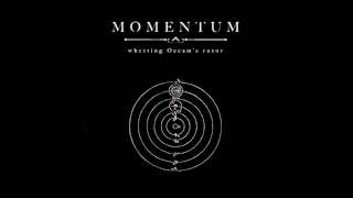 Momentum  Theory [upl. by Adnotal]