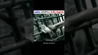 ఇతను మళ్లీ పుట్టాడు  Movie explained in Telugu  shorts [upl. by Vastah]