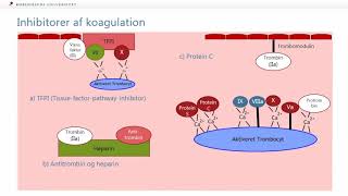 Fibrinolyse og Inhibering af koagulation [upl. by Aicnatsnoc]