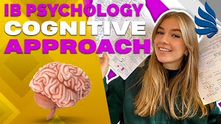 IB Psychology Revision Cognitive Approach Schema [upl. by Itsirk]