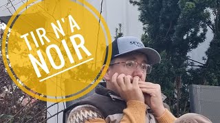 Tir Na Noir played on Seydel Saxony Chromatic Harmonica [upl. by Harvard]