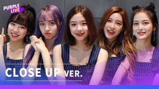 Purple LIVE  Close Up Busters 버스터즈  Pinky Promise [upl. by Milks]