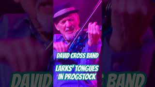 Larks’ Tongues in Progstock 24’ [upl. by Luise556]