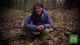 Skunk Cabbage  Metroparks Activity [upl. by Yatnuhs]