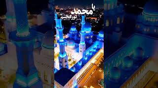 Pyara gunbad Khubsurat najara madinesebulawaaarahahai love islamicholysite [upl. by Ellednahs]