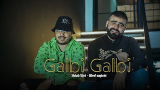 Achraf Maghrabi  Galbi Galbi Feat Sohaib Tayeb  Official Music Video [upl. by Llenej]