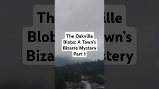 The Oakville Blobs A Town’s Bizarre Mystery Part 1 crimecommunity horrorstories funmystery [upl. by Hutchison]