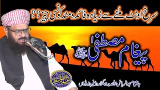 pigam e mustafaSAWMolana Hafiz Abdul Basit Sheikhupuri [upl. by Cadmann]