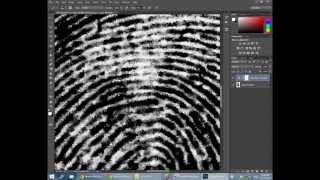 DIY Digitize your Fingerprints at home [upl. by Bride]