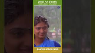 Junile Nilamazhayil Nammal Thammil  Gireesh Puthencherry  Shorts malayalammoviesongs ytshorts [upl. by Nedra635]