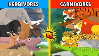 Carnivores Animal vs Herbivores Animal S1  Animal Animation [upl. by Anwat]