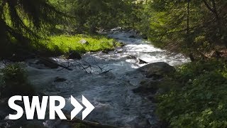 Südtirol Gardasee Adria  die Etsch  SWR Geschichte amp Entdeckungen [upl. by Nylesoy468]