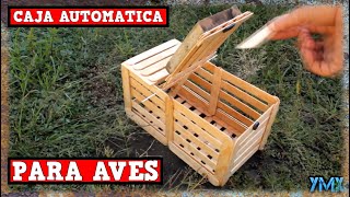 Trampa Para Aves automática  TUTORIAL YMX SUPERVIVENCIA [upl. by Anyotal237]