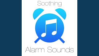 Synth Pattern Alarm Sound [upl. by Whiffen]