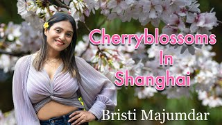 Cherryblossoms In Hongqiao Shanghai Spring Festival 2023 Best places to visit during Spring China [upl. by Ahsinyt]