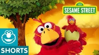 Sesame Street Bird Musical Preview  Elmo the Musical [upl. by Cochard388]