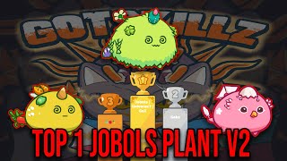 Jobols Plant Top 1 Again Season 18 Must watch this [upl. by Tiffy]