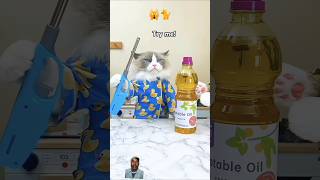 😺Pancake magic with Puff Can he flip the perfect pancake 🤯cat cute 🥞🤤funny 🥞ThatLittlePuff [upl. by Horatio506]