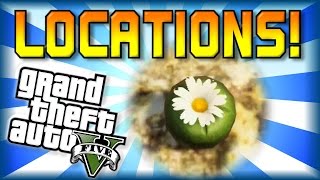 GTA 5  Peyote All Locations Guide Part 2 Peyote 4 [upl. by Odnalo]