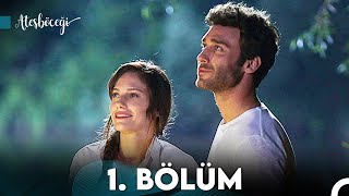 Ateşböceği 1 Bölüm FULL HD [upl. by Nivej]