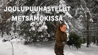 Joulun puuhastelut metsämökin rauhassa [upl. by Hagile]