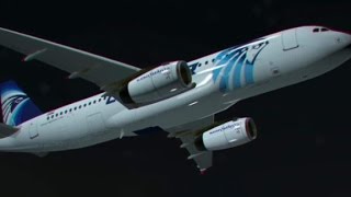 First audio of EgyptAir pilot released [upl. by Putscher]