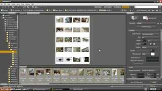 Adobe Bridge tutorial  how to create a contact sheet [upl. by Paule122]