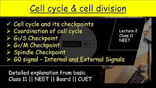 Cell Cycle amp Cell Division ✅ Cell cycle and its checkpoints from basic class11biology neet A005 [upl. by Ahsemo848]