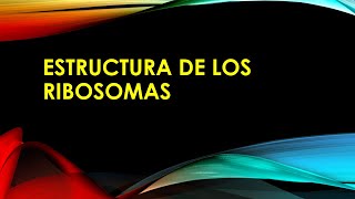 ESTRUCTURA DE LOS RIBOSOMAS [upl. by Standish]