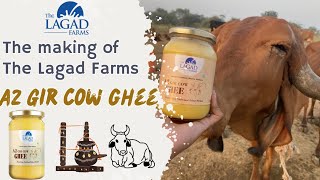 The making of Traditional Pure A2 gir cow ghee [upl. by Ujawernalo]