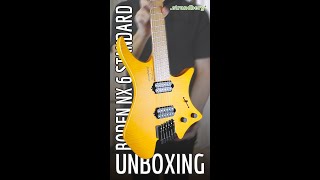 Strandberg NX 6 Standard Amber UNBOXING [upl. by Dimond855]