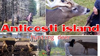 Anticosti Island hunting deer 𝐐𝐔𝐄𝐄𝐍𝐉𝐄𝐙𝐀𝐁𝐄𝐋 [upl. by Emilio]