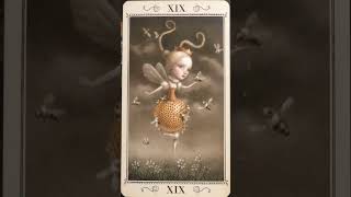 Nicolette Ceccoli Tarot XIX  The Sun guidance tarotcards tarotreading help [upl. by Ariamo]