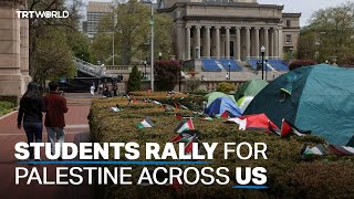 Hundreds of proPalestine protesters arrested on US campuses [upl. by Nnaoj500]