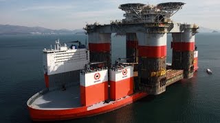 TOP 10 BIGGEST SHIPS In The WORLD [upl. by Rizzi181]