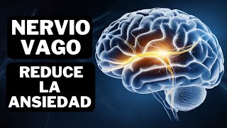 Elimina la Ansiedad Activando tu Nervio Vago 🧠 [upl. by Cinom]