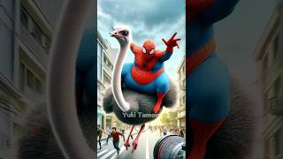 💥 Spiderman is riding an Ostrich 🥰 Evolution of SpiderMan ✅ avengers spiderman evolution [upl. by Aicella418]