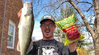 Flamin HOT Walleye Catch N Cook CRAZY GOOSE ATTACKS [upl. by Marlie]