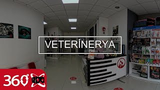 VETERİNERYA  This is 360 VR Video [upl. by Ainnos]