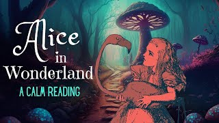 Reading of Alice in Wonderland  full audiobook  Story Reading for Sleep  Relaxing Reading [upl. by Robyn50]