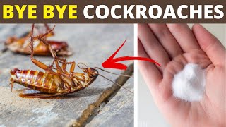 2 Home Remedies to Get Rid of Cockroaches in Your House Using Baking Soda and Onion  House Keeper [upl. by Giraldo592]