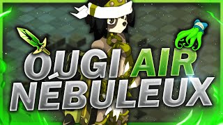 STUFF AIR CHEAT 210 DO FIX NEBULEUX SURPRENANT SUR DOFUS [upl. by Anrak]