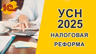 Налоговая реформа 2025 УСН [upl. by Eba]