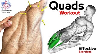 7 Easy Exercises Quadriceps Workout  Leg Day [upl. by Nahpets]