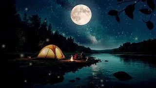 Forest sounds  crickets amp frogs summer night sounds nighttime ambience for sleeping [upl. by Devol]