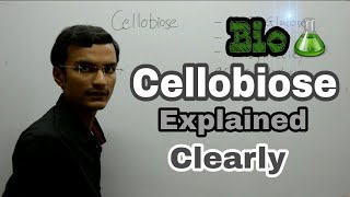 Cellobiose Disaccharide  Biochemistry lecture [upl. by Ehcropal]