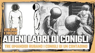 Alieni ladri di conigli  Ufologia e Misteri [upl. by Mayram]