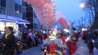 Aalst Carnaval 2014  Possensje Filmpje 2 [upl. by Aihsile347]